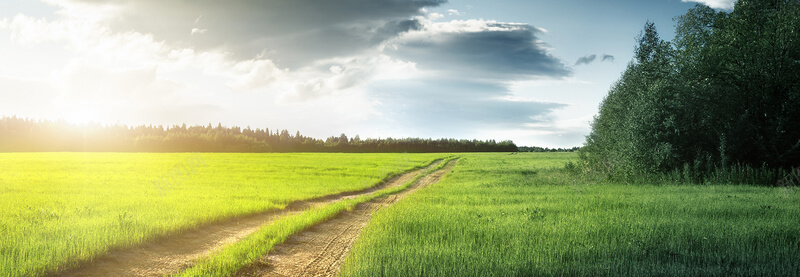 模板素材资源合集-然百捷网络科技