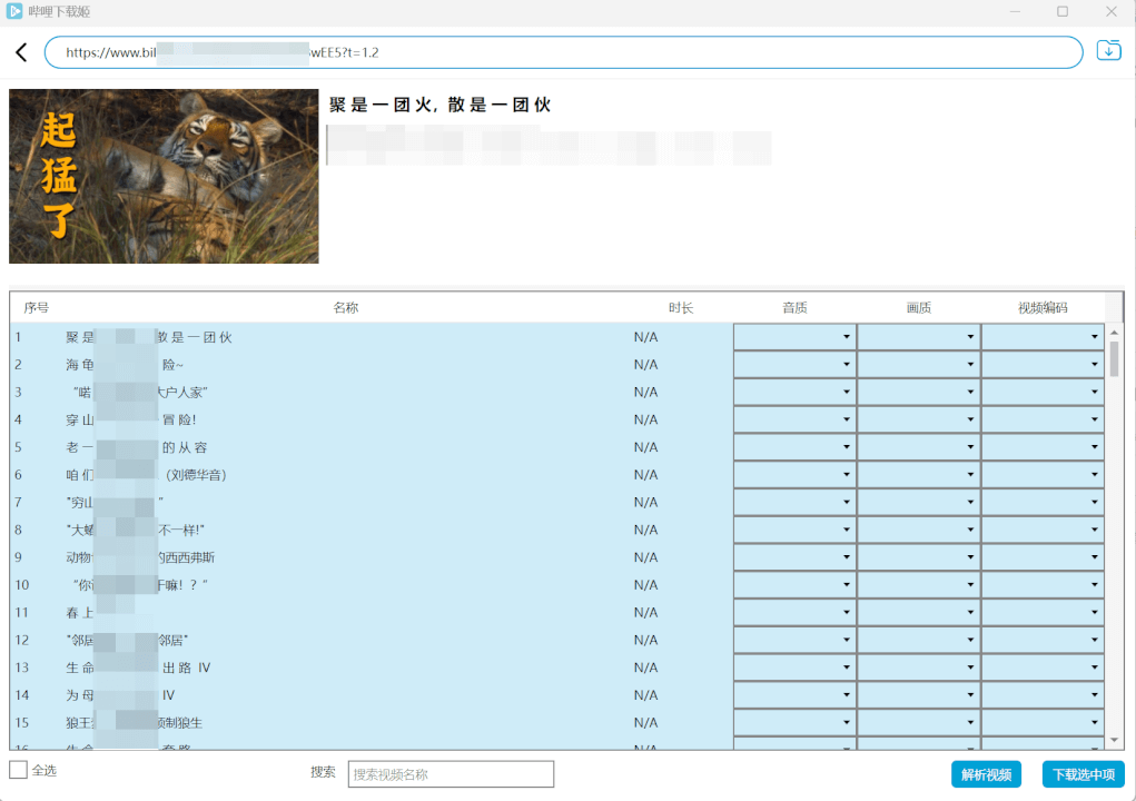 DownKyi哔哩下载姬(B站视频下载工具) 中文绿色版-然百捷网络科技